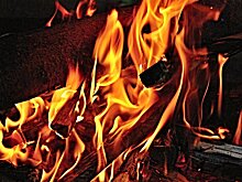 Воронежская область в выходные побила рекорд по числу пожаров