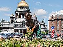 Изменить среду обитания
