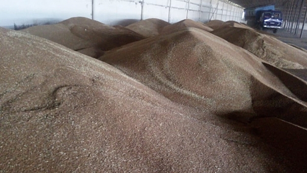 В Ростовской области хлеборобы собрали 8,5 млн тонн зерна