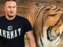 Бывший дрессировщик создал секретный приют для уставших тигров под Новосибирском