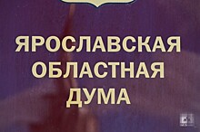 В Ярославле комитет облдумы поддержал возврат прямых выборов мэров