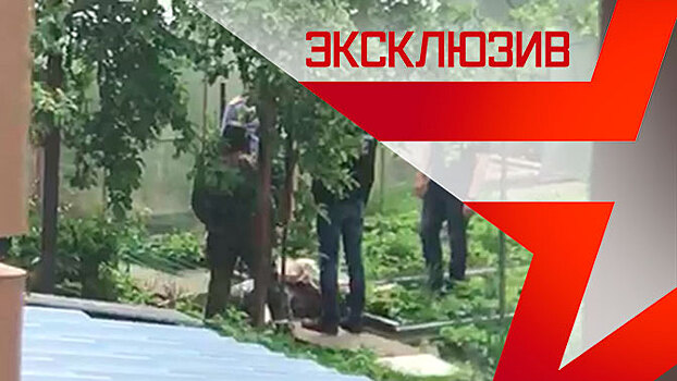 Следователи выносят тело из дома «кратовского стрелка»: видео