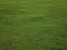 В Башкирии выдали первую льготную IT-ипотеку