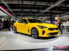 У Kia Stinger возникли неожиданные проблемы