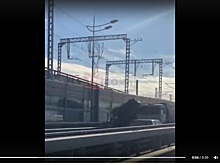 Опубликованы кадры с места смертельного ДТП с "КамАЗом" и пассажирской "Газелью" в Сочи