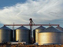 Элеватор мощностью в 50 тыс тонн заработает в Чеченской республике уже в 2023 году