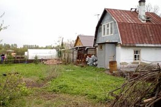 Жительница Красноярского края пять лет скрывала в огороде труп сожителя