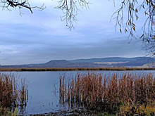 В Самарской области вода в Волге остыла до 11,2 °С