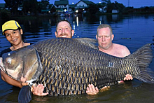 Мужчина поймал гигантскую рыбу и установил рекорд