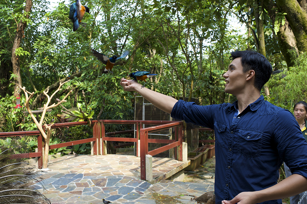 Парк птиц Джуронг, Сингапур, Азия