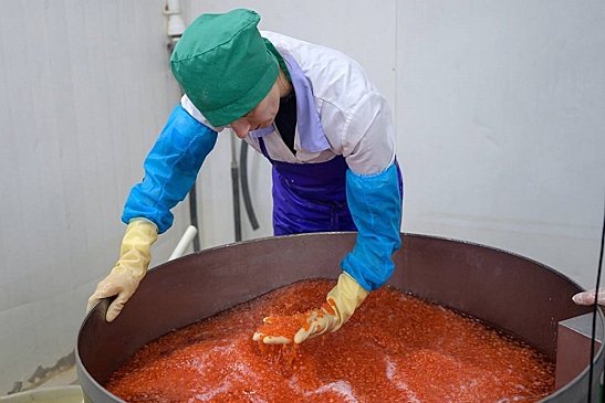 Россия не запретит экспорт красной икры &mdash; Росрыболовство