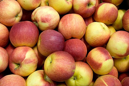 В Швейцарии появятся яблоки без аллергенов