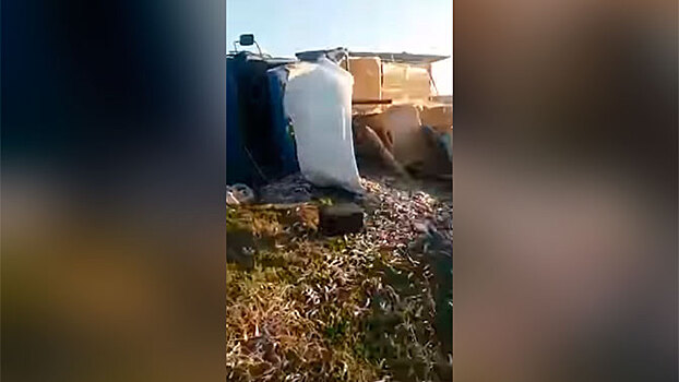 На Сахалине опрокинулся грузовик с рыбой: видео