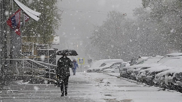 Синоптик рассказал о вероятности снега в Московской области