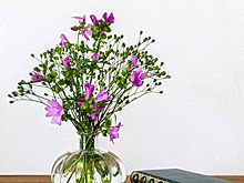 В школе № 2072 прошёл Вечер Беллы Ахмадулиной