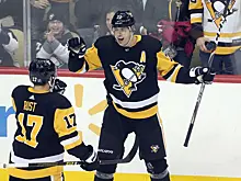 Евгения Малкина оштрафовали на 5 тысяч долларов за удар клюшкой по рукам соперника