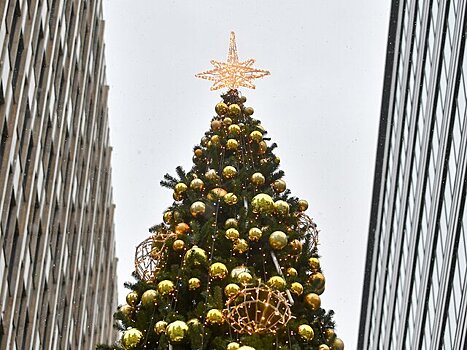 Выбрана главная новогодняя ель России