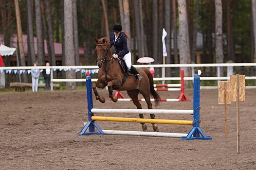 Иван Носков: «Однозначно будем развивать конный спорт на территории Дзержинска»