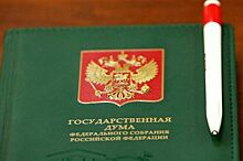 ГД может 23 июля принять во II чтении законопроект о миграционном режиме высылки