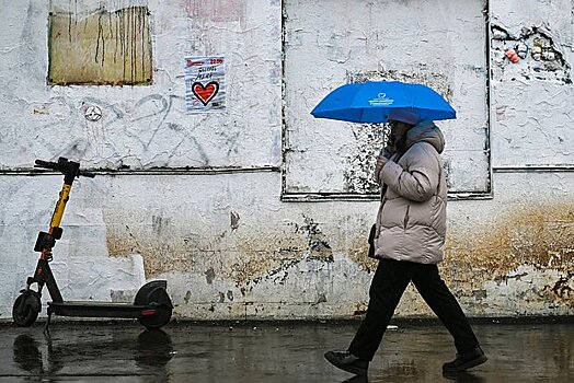 За сутки в Подмосковье выпала половина месячной нормы осадков