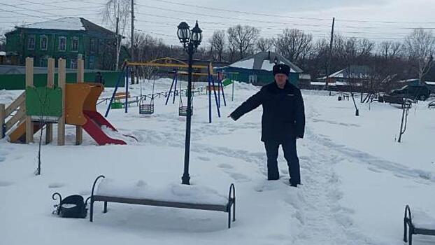 Кражу фонарей с детской площадки в одном из сёл Алтайского края раскрыли сотрудники полиции