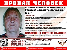 В Нестеровском районе 87-летняя женщина уехала в Пенсионный фонд и пропала