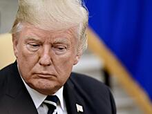 Трамп прокомментировал сообщение о заговоре