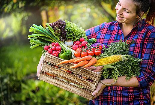 Какой урожай можно собрать в июле? Овощи, фрукты и ягоды, которые созревают в огороде в середине лета