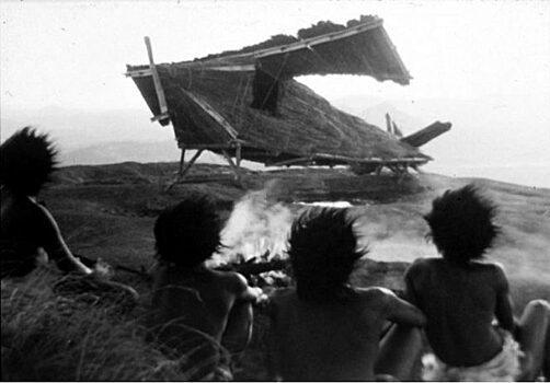 Культ Карго: почему туземцы в Меланезии поклоняются самолётам