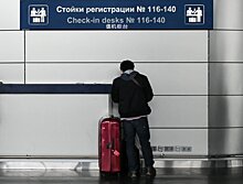 У пассажиров аэропортов Москвы нашли более 9 тонн небезопасной растительной продукции