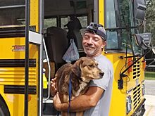 Простой водитель на школьном автобусе спас 60 домашних питомцев от урагана