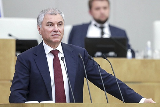 Володин: В ГД предлагают лишить иноагентов всех источников доходов в РФ