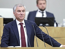 Володин: В ГД предлагают лишить иноагентов всех источников доходов в РФ