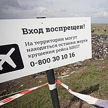 BNR: поиски останков жертв крушения MH17 могут возобновиться весной
