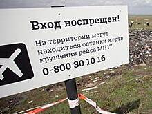 BNR: поиски останков жертв крушения MH17 могут возобновиться весной