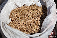 Курганское зерно готовят к отправке в Китай