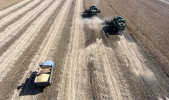 Объём производства зерна в России резко упал