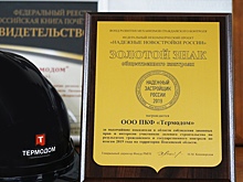 Пензенский «Термодом» вновь вошел в число надежных застройщиков России