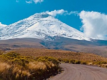 Россия возобновит авиасообщение с Эквадором