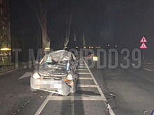 Лошадь внезапно выбежала на дорогу: в полиции рассказали подробности ДТП под Зеленоградском