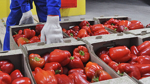 РФ может ввести ограничения на ввоз продуктов из Турции