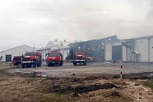 Губернатор Богомаз сообщил об атаке предприятия «Мираторг» в Брянской области дронами ВСУ