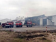 Губернатор Богомаз сообщил об атаке предприятия «Мираторг» в Брянской области дронами ВСУ