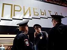 Эксперт обвинил работников «Шереметьево» в гибели человека