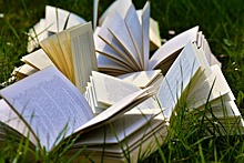 Программу «Лето в литературных джунглях» представят в парке «Ангарские пруды» в САО