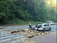 На курорте «Роза Хутор» дерево раздавило автомобиль, есть пострадавшие