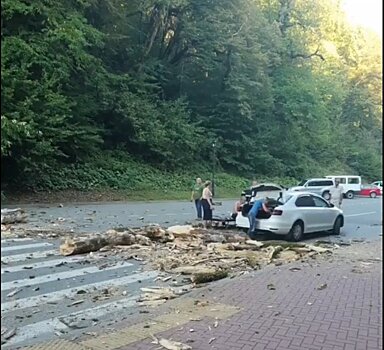 На курорте «Роза Хутор» дерево раздавило автомобиль, есть пострадавшие