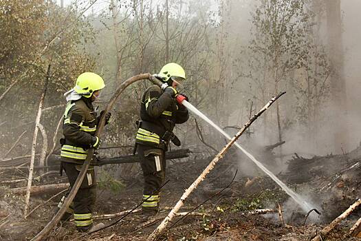 Сильные лесные пожары предрекли нескольким российским регионам