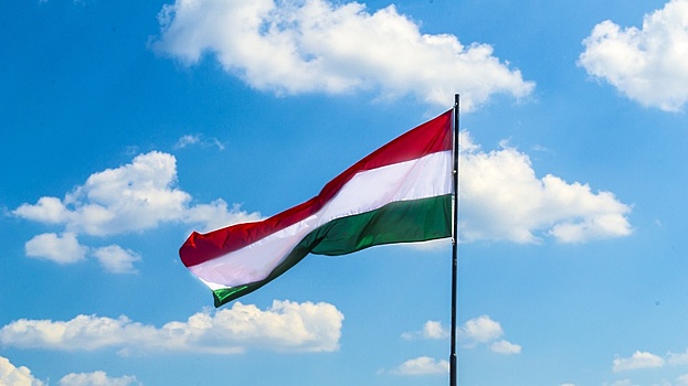 Венгрия не будет выдавать украинцев, уклоняющихся от призыва