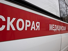 В Петербурге минивэн насмерть сбил женщину на «зебре»